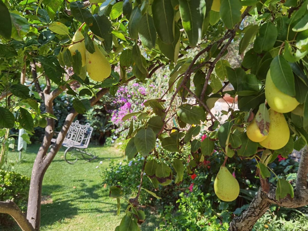Il Giardino Di Tatiana Rooms & Breakfast La Maddalena  Eksteriør billede