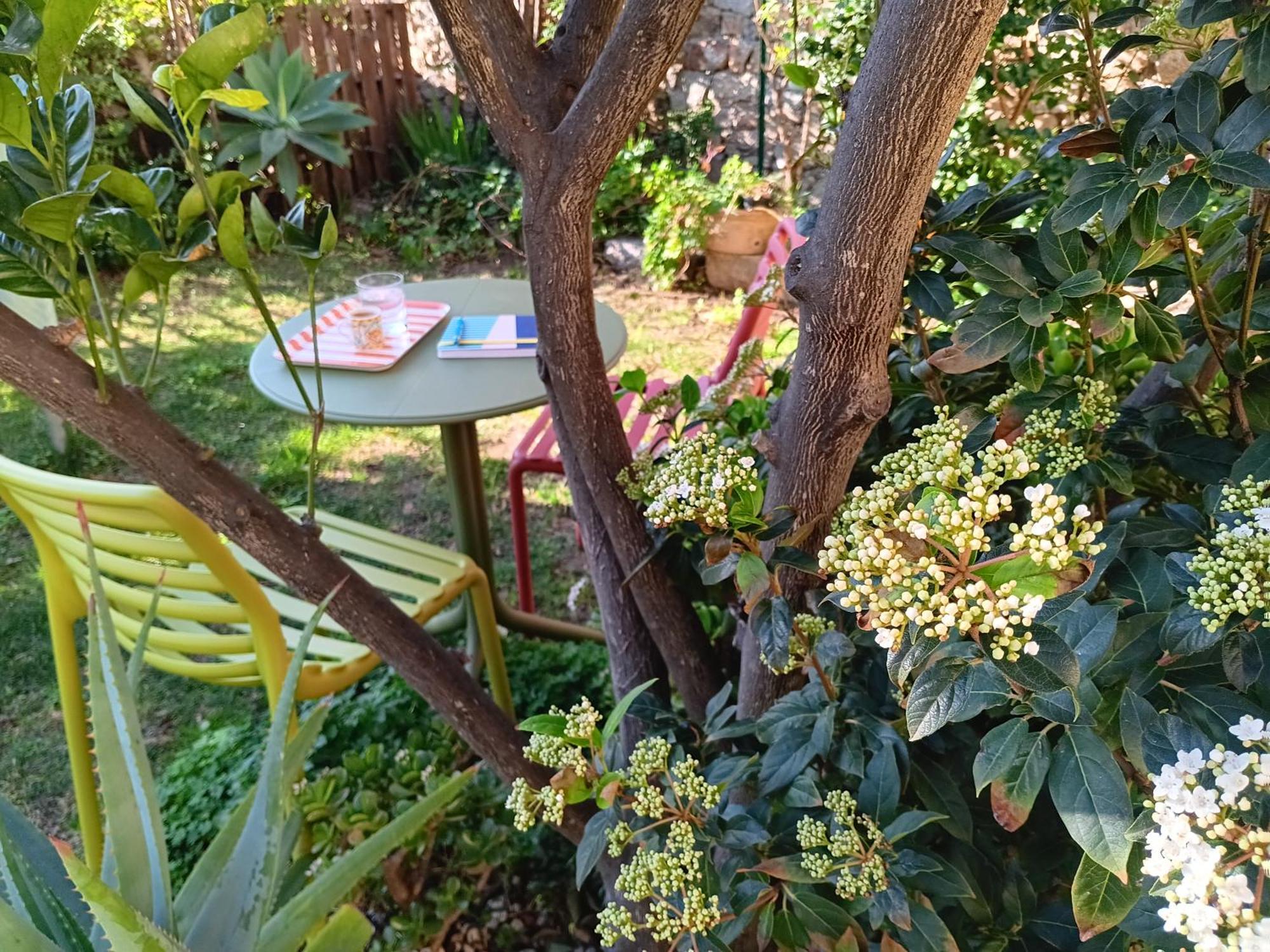 Il Giardino Di Tatiana Rooms & Breakfast La Maddalena  Værelse billede
