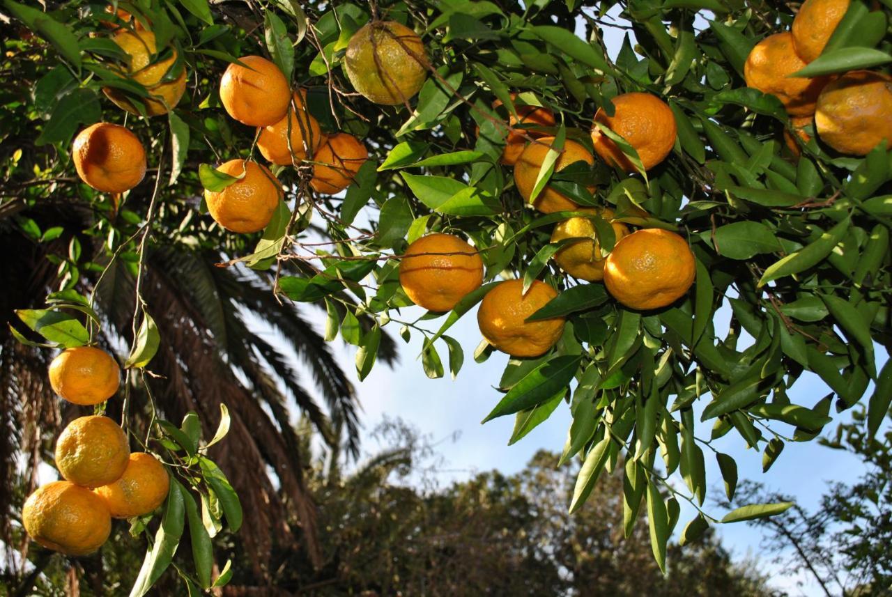 Il Giardino Di Tatiana Rooms & Breakfast La Maddalena  Eksteriør billede